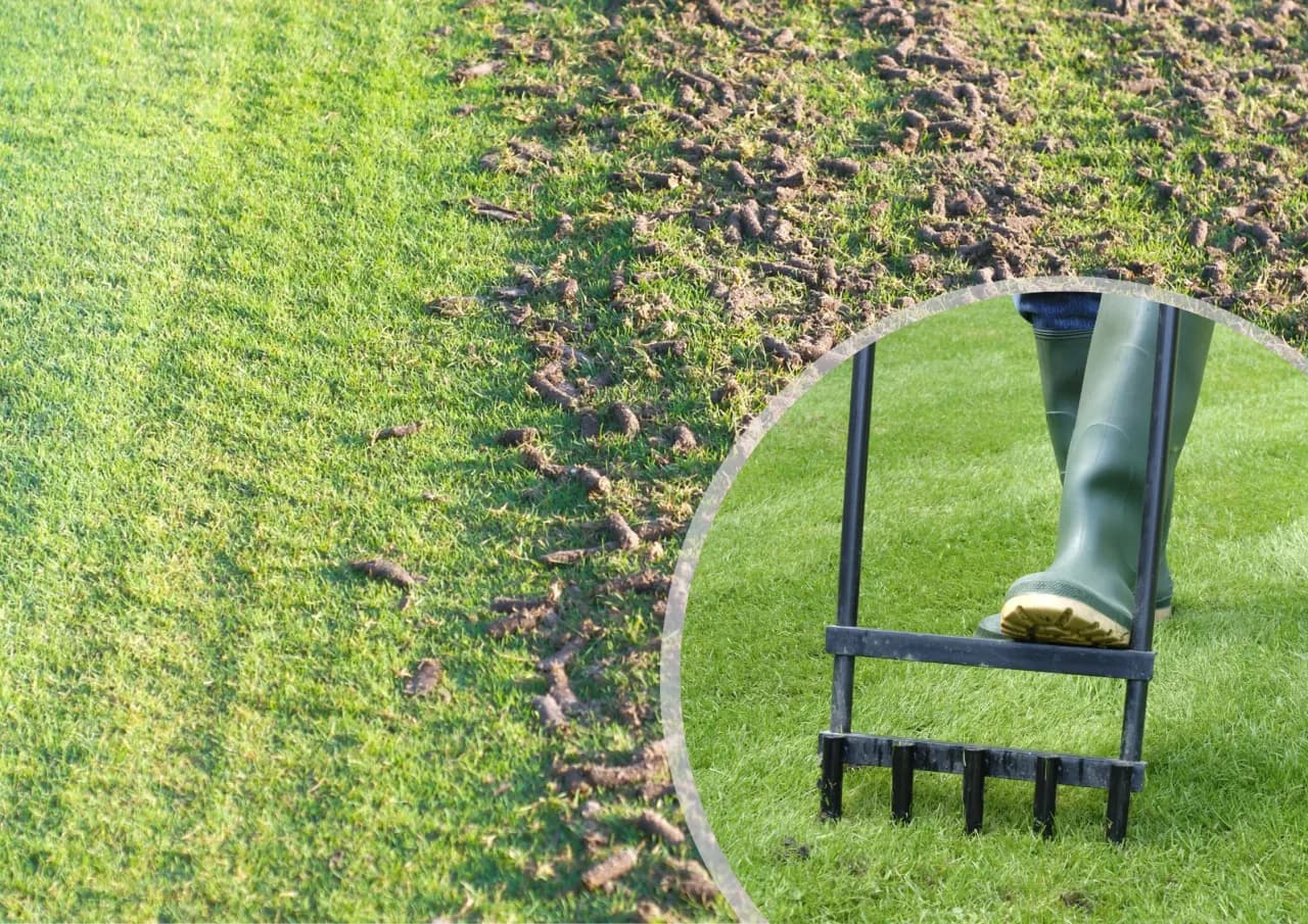 Jak napowietrzyć trawnik skutecznie i uniknąć problemów z murawą