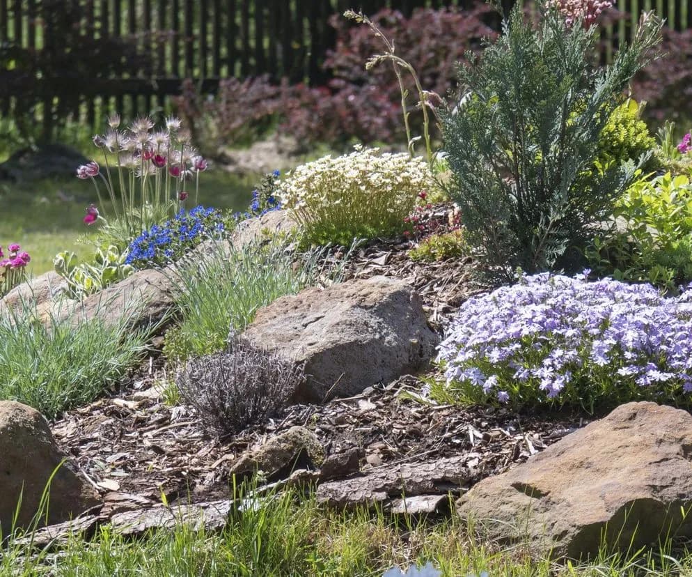 Jak zrobić mały skalniak? Proste kroki do pięknego ogrodu