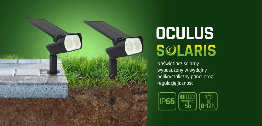 Lampy ogrodowe solarne czy elektryczne - co wybrać, aby zaoszczędzić?