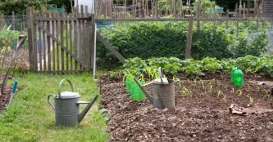 Jak przepisać działkę ogrodową - uniknij błędów przy transferze prawa