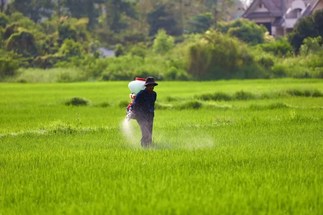 Czy siarczan amonu zakwasza glebę? Poznaj skutki i zalecenia