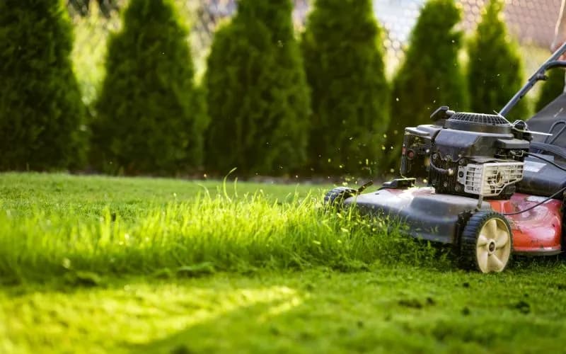 Jak dbać o trawnik na wiosnę, aby uniknąć jego zniszczenia?
