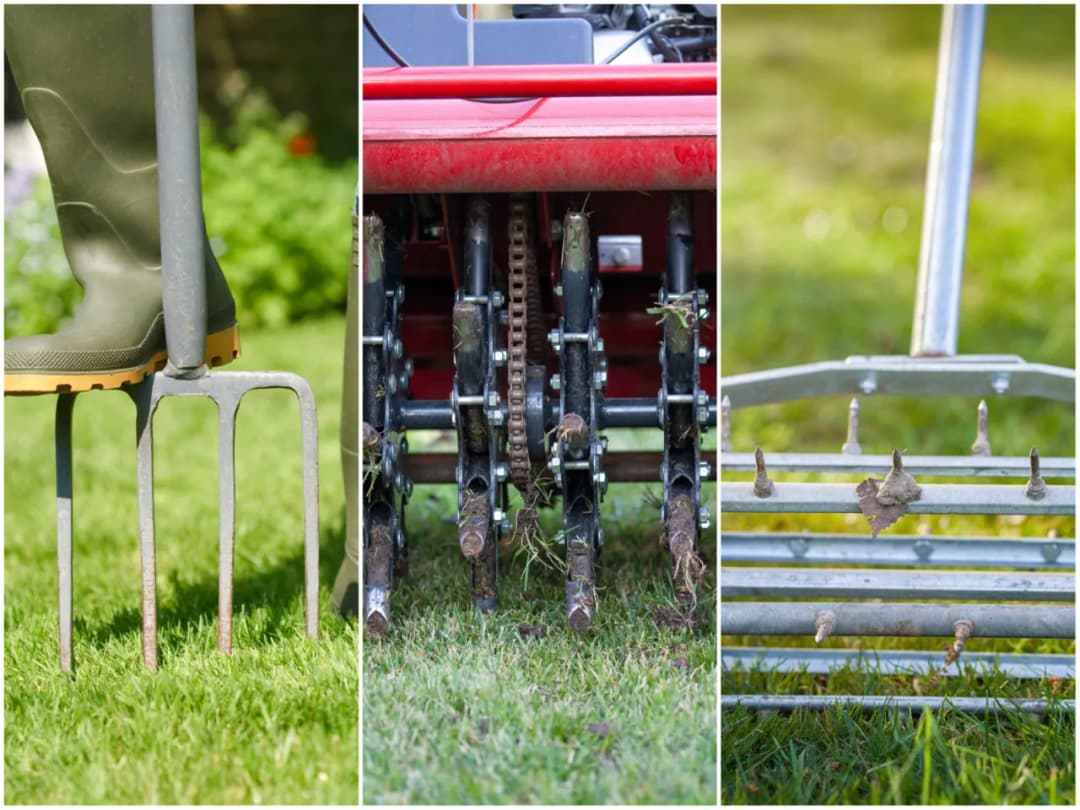 Czym napowietrzać trawnik, aby uniknąć problemów z jego wzrostem?