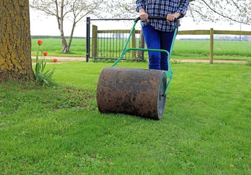 Kiedy wałujemy trawnik, aby uniknąć problemów z pielęgnacją?