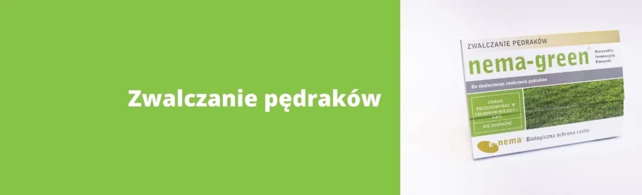Skuteczne sposoby na zwalczenie pędraków w trawniku bez chemii