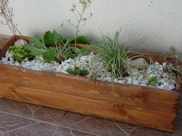 Jak zrobić skalniak w donicy - proste kroki i najlepsze rośliny