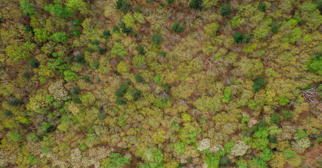 Odcienie koloru zielonego - poznaj całą gamę zieleni i zainspiruj się!