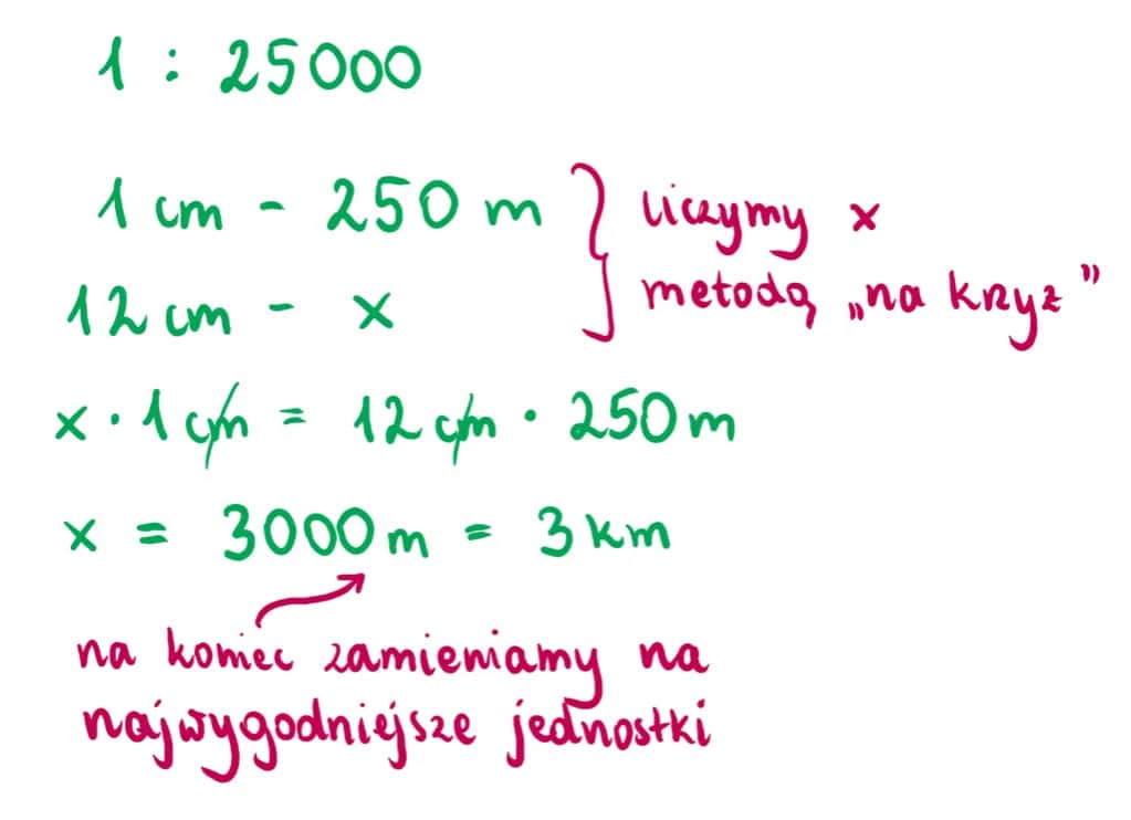 Skala 1:24 - jak przeliczyć na centymetry? Łatwy sposób