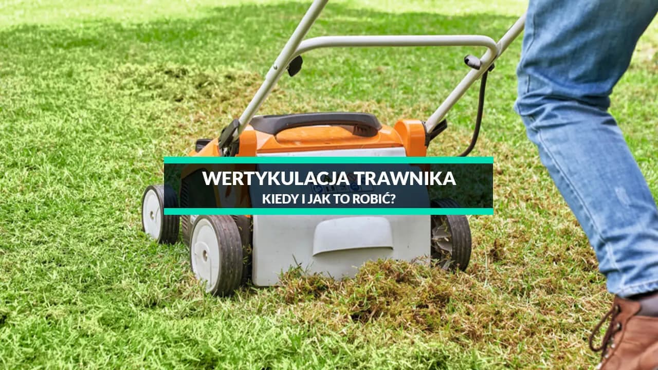 Jak głęboko wertykulować trawnik, aby poprawić jego zdrowie?