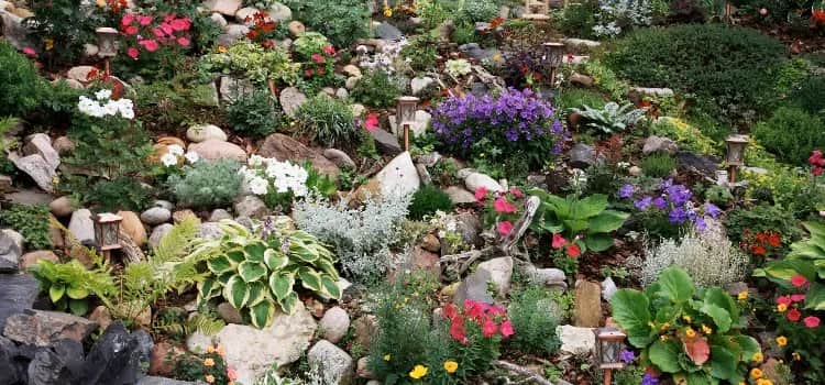 Jak zrobić skalniak na skarpie - proste kroki i najlepsze rośliny