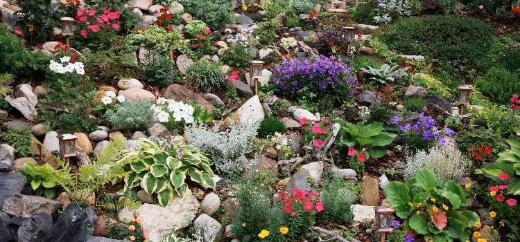 Jak zrobić skalniak na skarpie - proste kroki i najlepsze rośliny