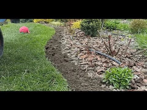 Jak odgrodzić rabatę od trawnika i uniknąć przerastania trawy